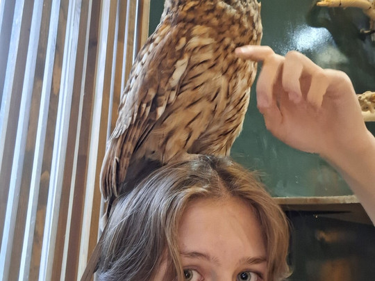 Soviny Dom  Anticafe-莫斯科必去景点