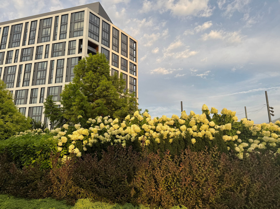 The Watermark Hotel主图