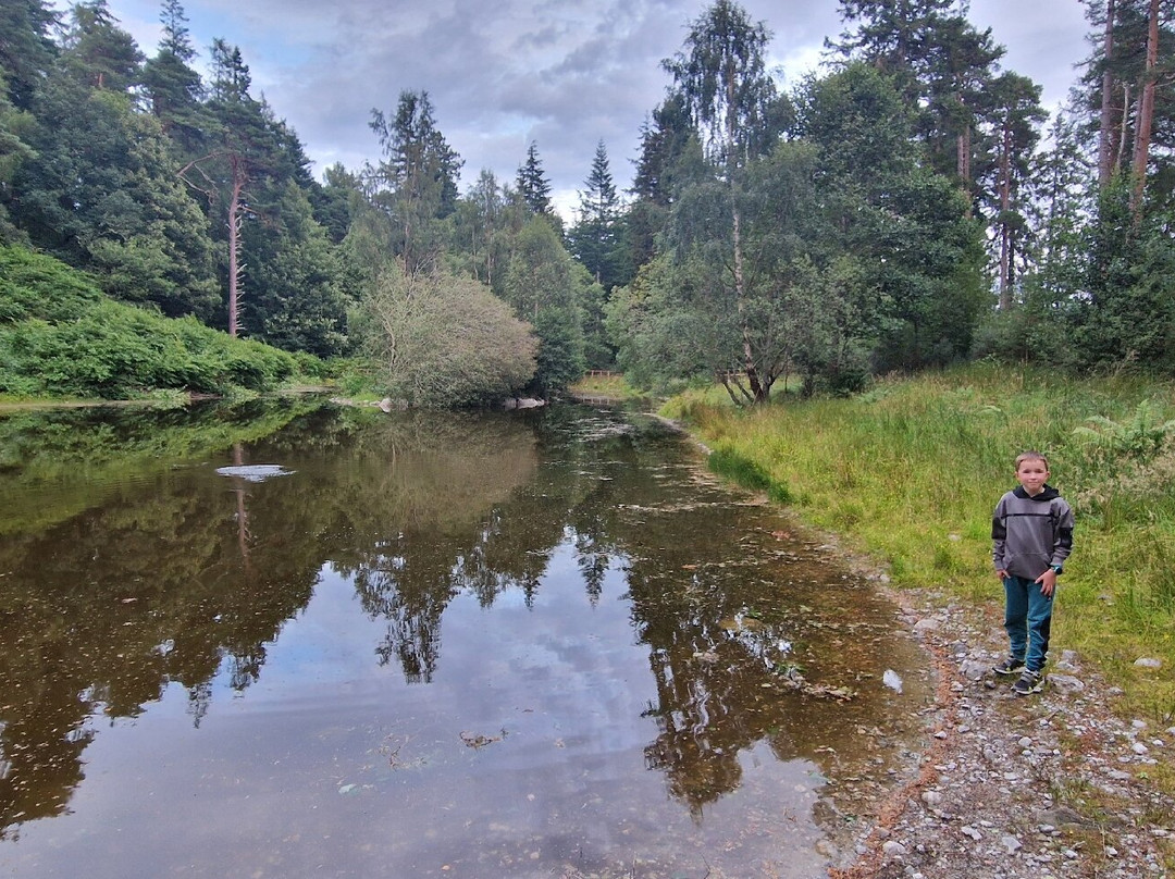 Fairburn Activity Centre-Muir of Ord必去景点