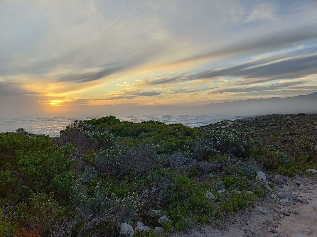 Walker Bay Nature Reserve-赫曼努斯必去景点