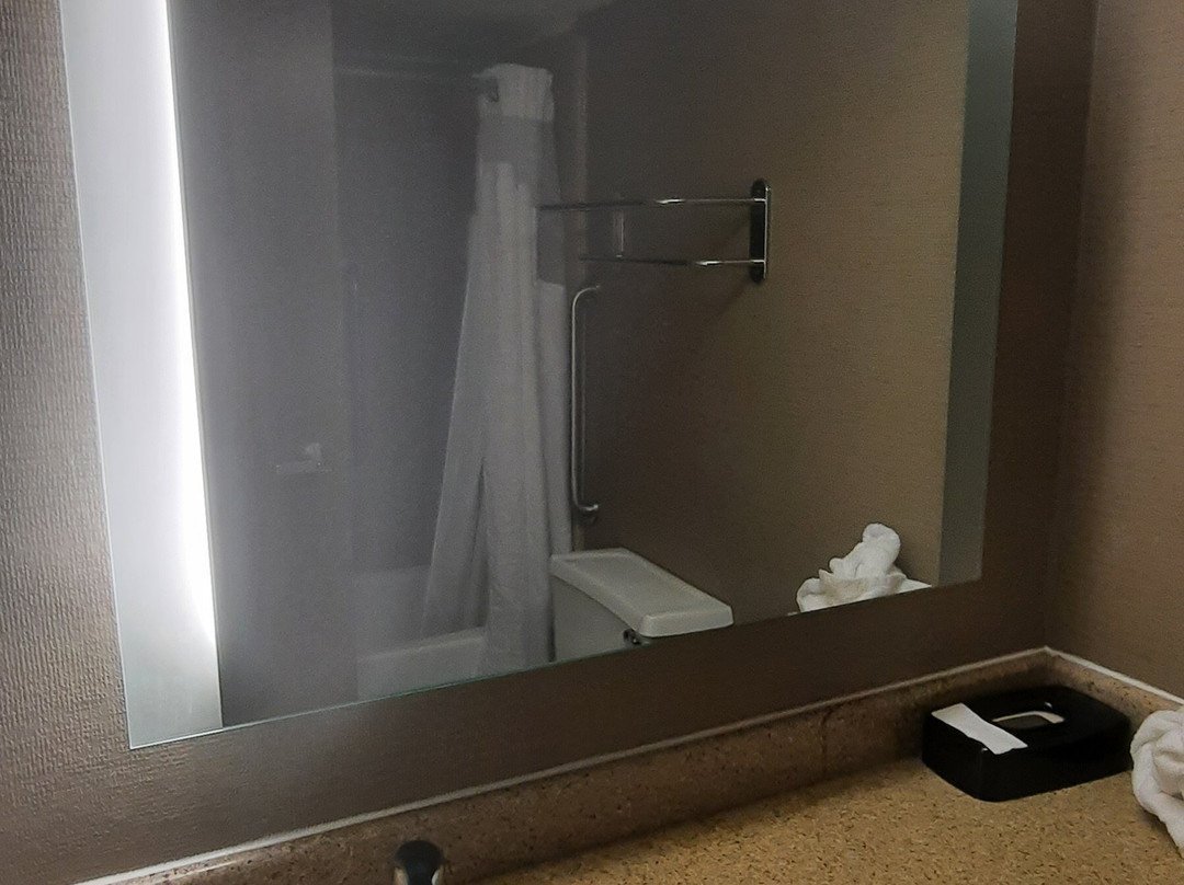 Holiday Inn St. Louis - Downtown Conv Ctr By IHG主图