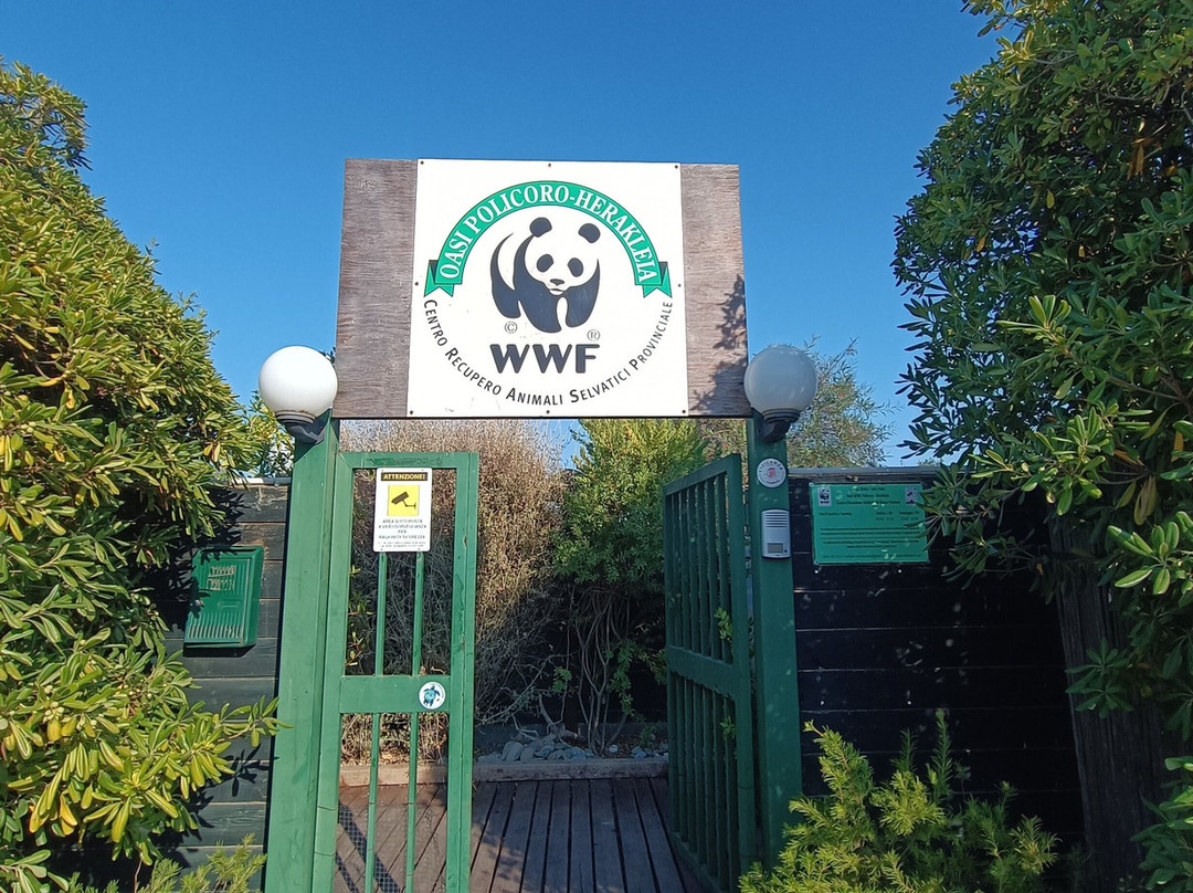 Oasi WWF Policoro Herakleia-波利科罗必去景点