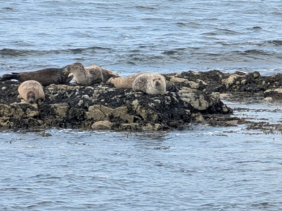 Seafari Cruises-肯梅尔必去景点