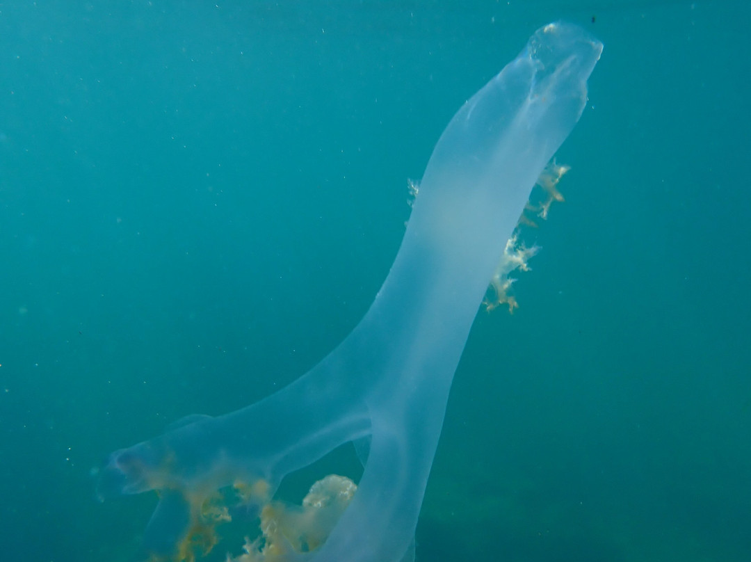 Zip & Trip-阿沃必去景点