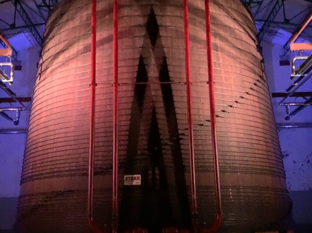 Caves Byrrh Thuir-Thuir必去景点