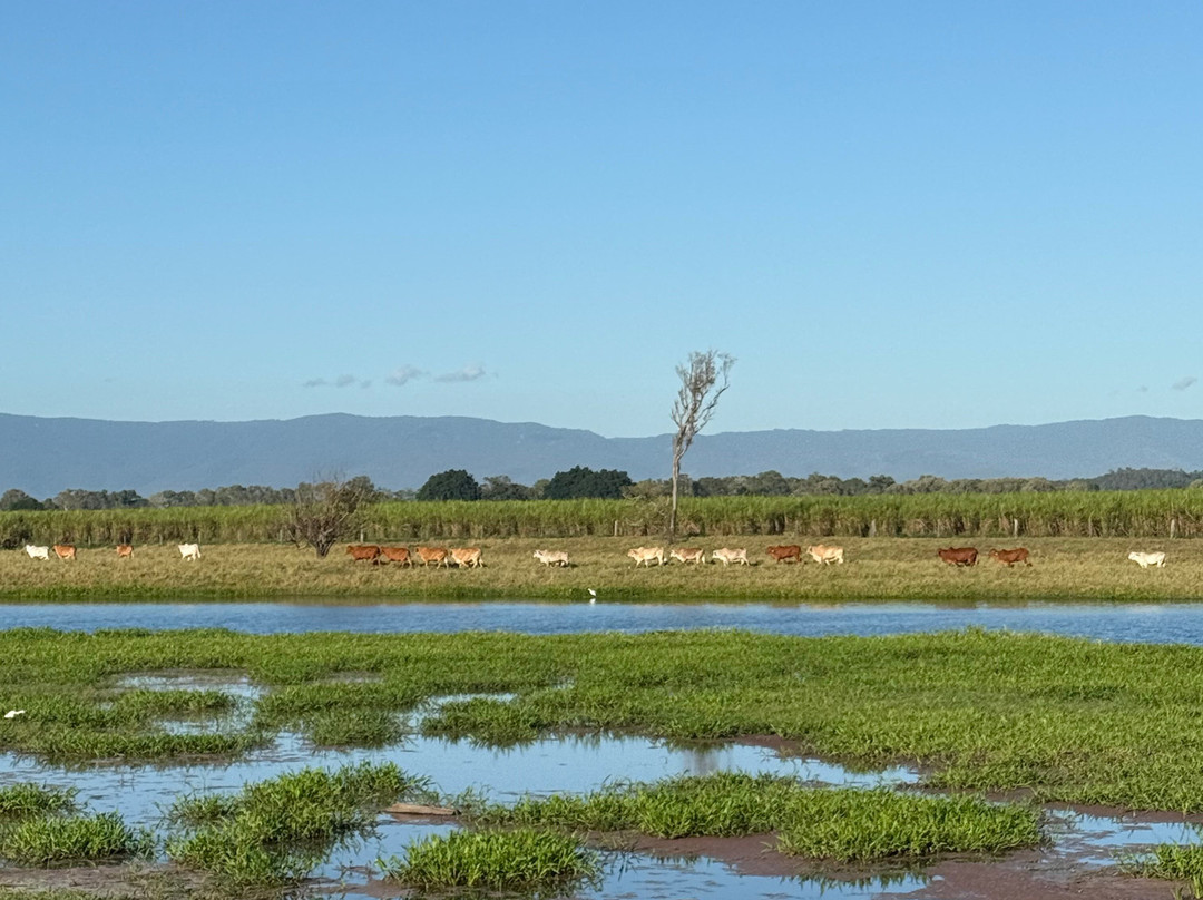 Mungalla Aboriginal Tours-Ingham必去景点