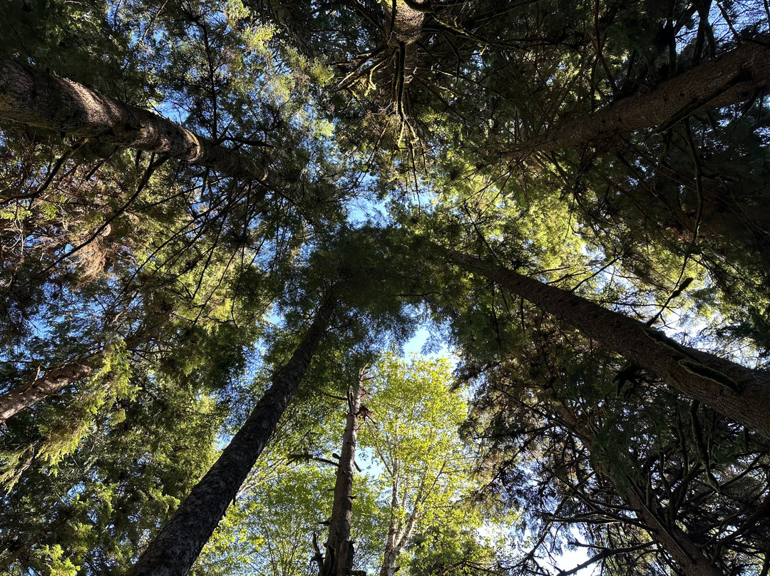 亚力山大的小屋和餐厅主图