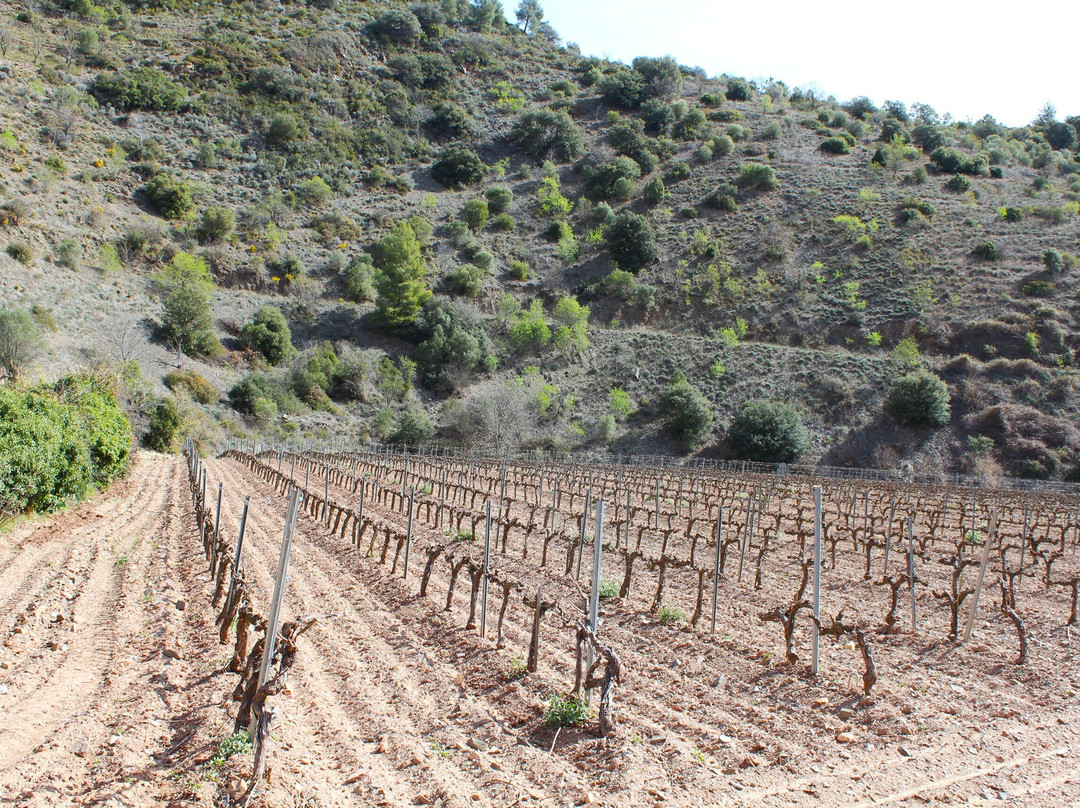 Cartoixa de Scala Dei-Escaladei必去景点