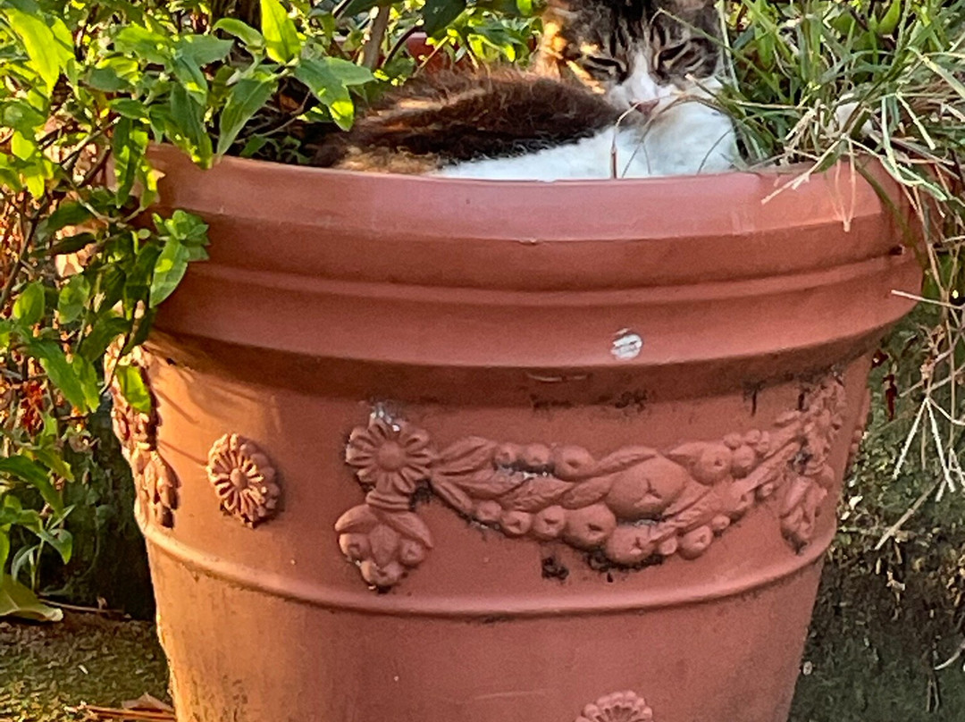 Castillo San Felipe del Morro-圣胡安必去景点