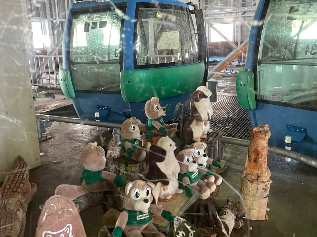 Shigakogen Yakebitaiyama Ski Area-山之内町必去景点