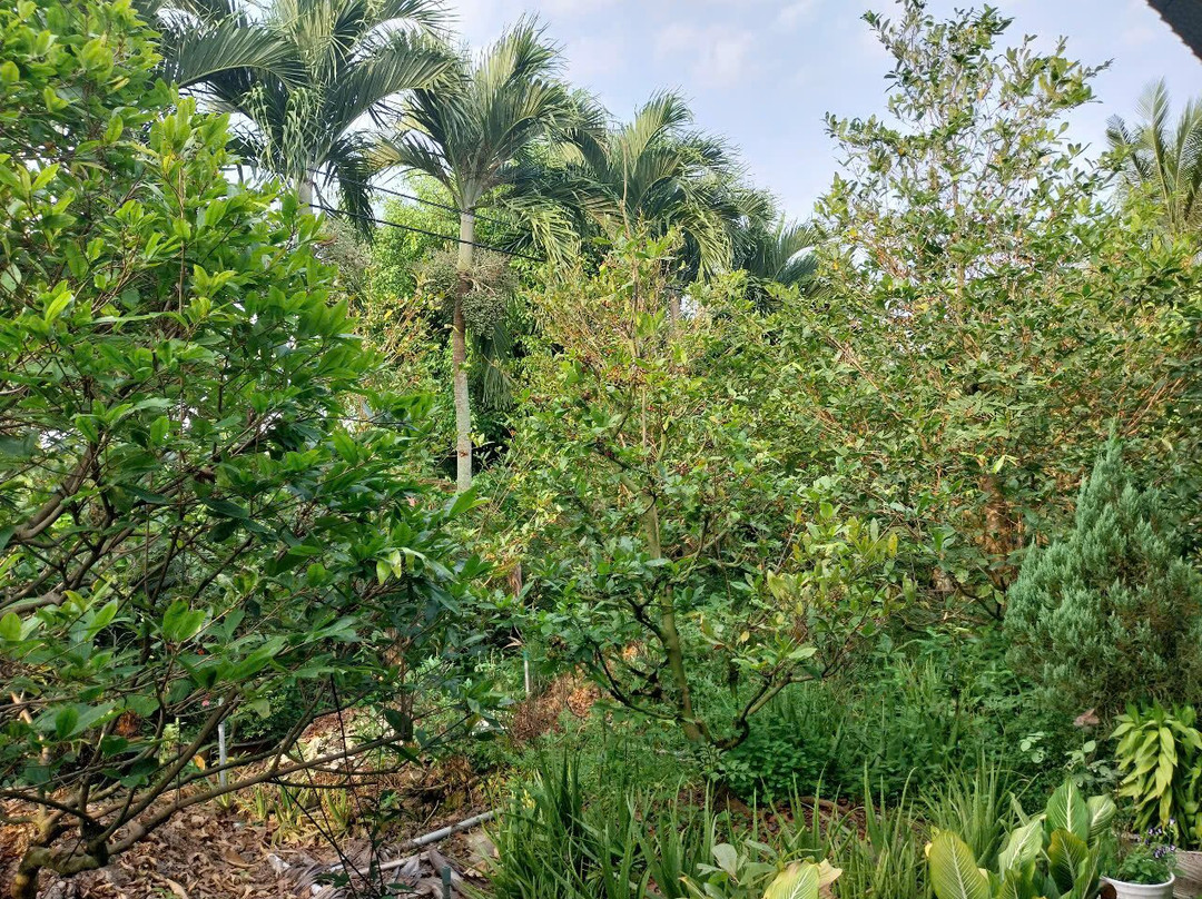 Kakulaane Tourist Farm