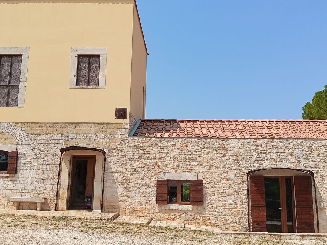 Tenuta Tedone Consolini主图