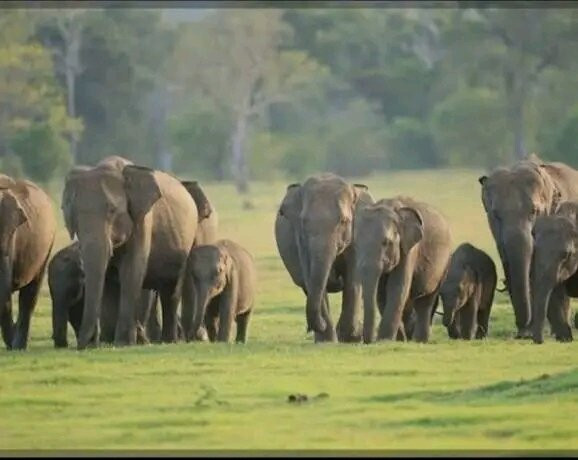 Trincomalee Beach-Trincomalee必去景点