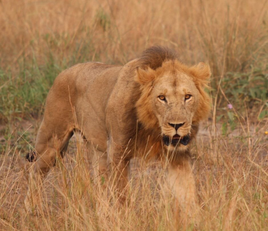 My Trip 2 Africa-Mbarara必去景点