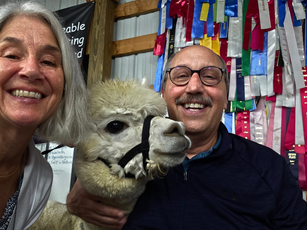 LondonDairy Alpacas-Two Rivers必去景点