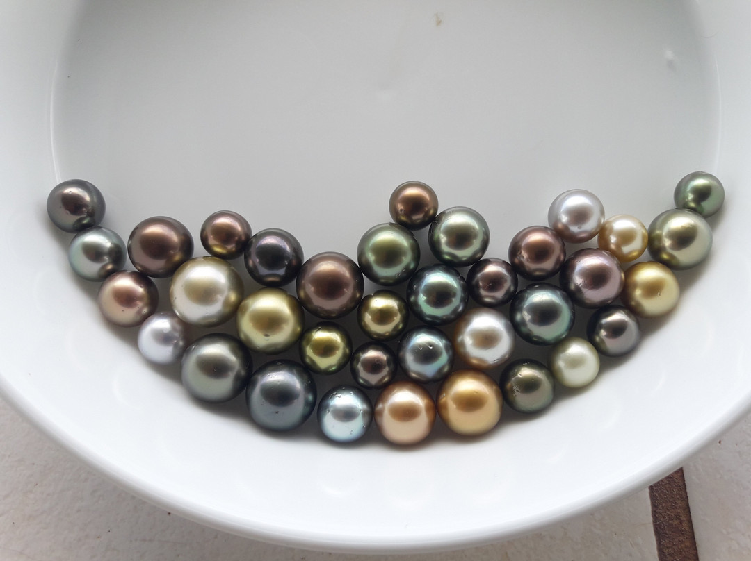 Civa Pearl Farm-塔韦乌尼岛必去景点