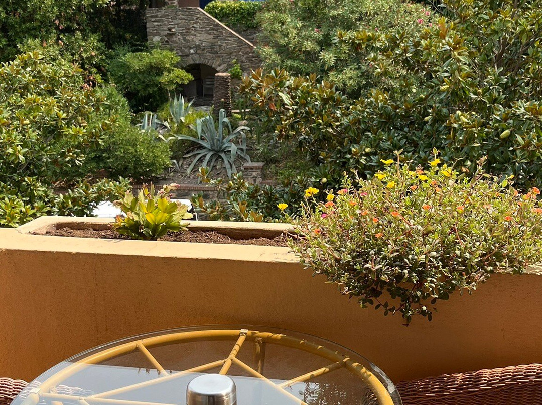 马斯斯托尼尔斯酒店主图