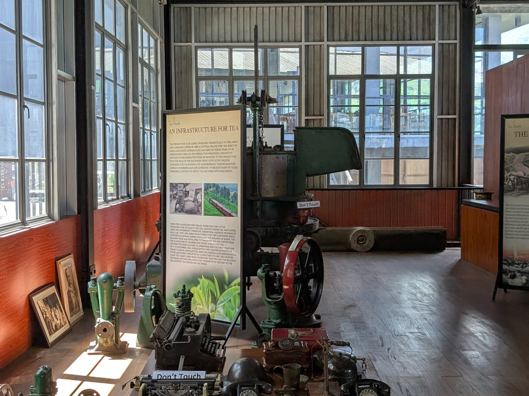 DJ-Divan-奴娃拉伊利雅必去景点