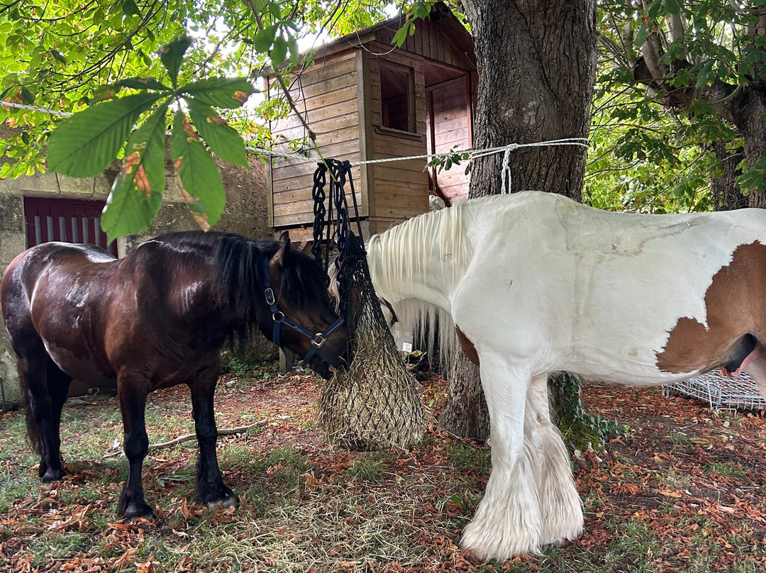 Horse Journey-Saint-Martin-le-Beau必去景点