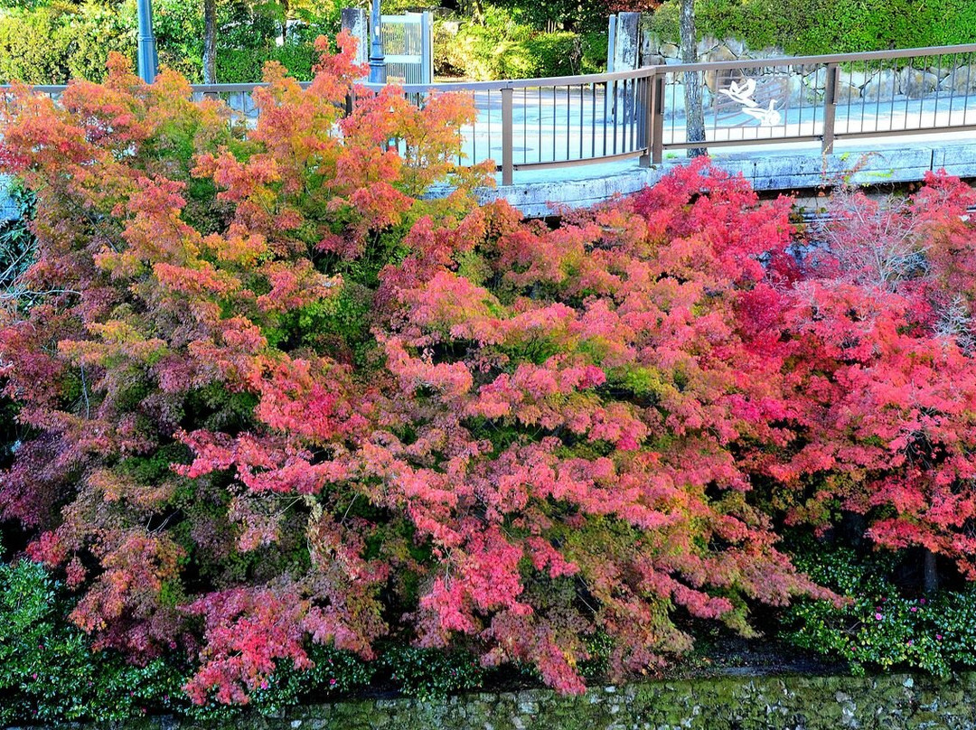 下吕温泉-下吕市必去景点