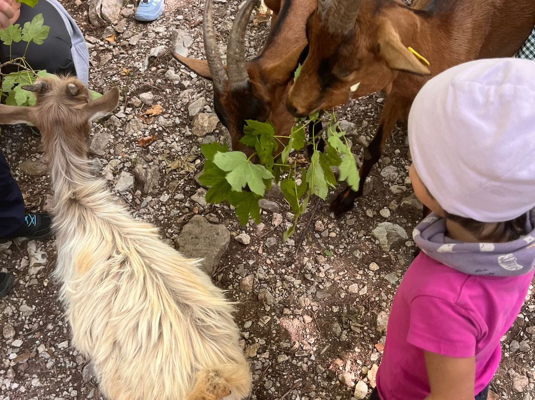 Maso Guez-San Sebastiano必去景点