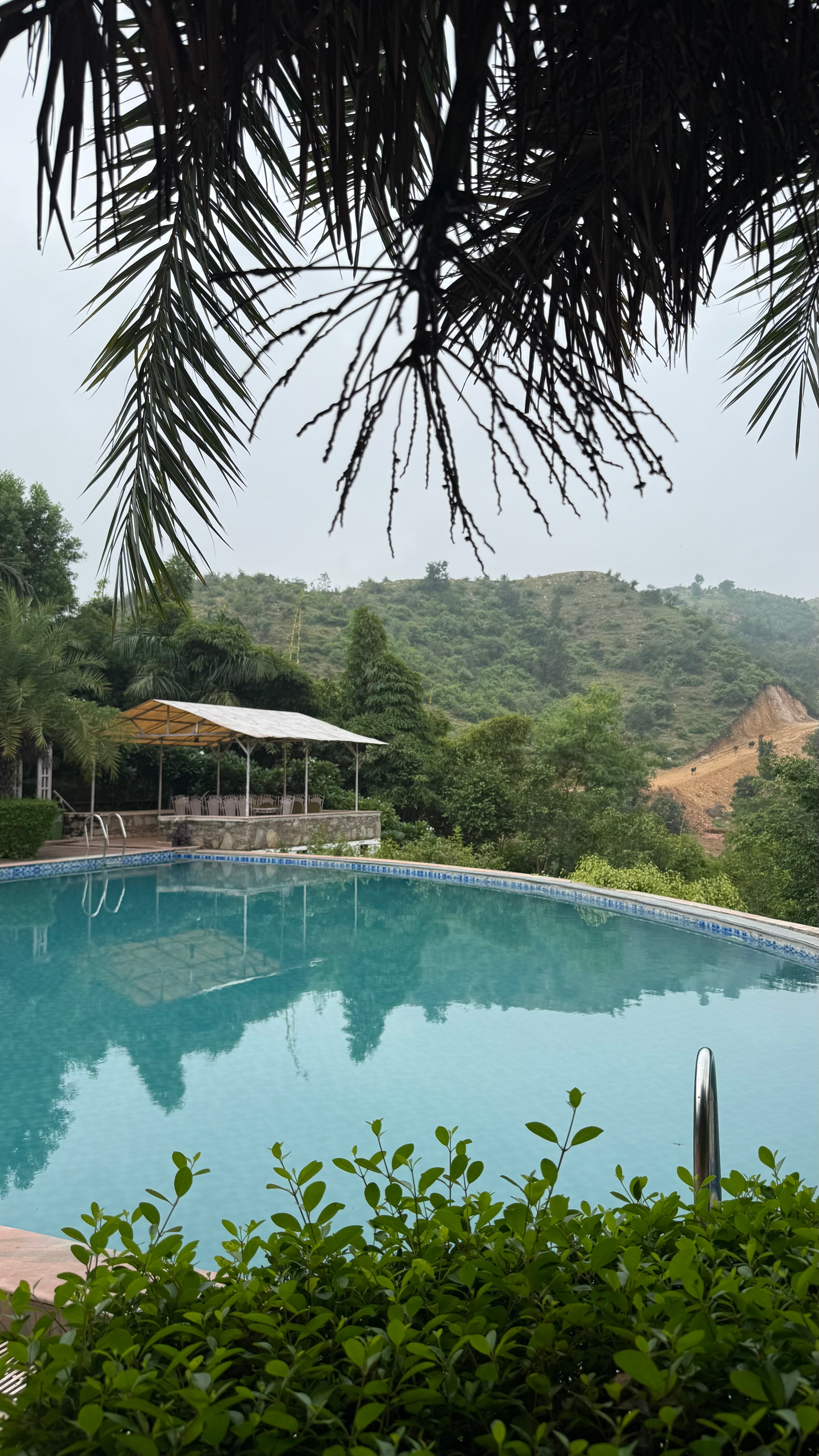 The High Garden Resort-泳池