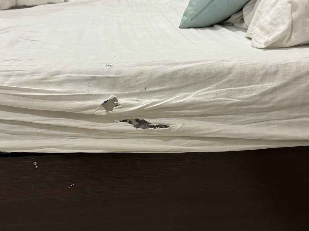 Shri Vallabh Vilas Lords Plaza主图