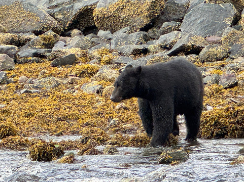 Ketchikan Fishing Company-凯奇坎必去景点