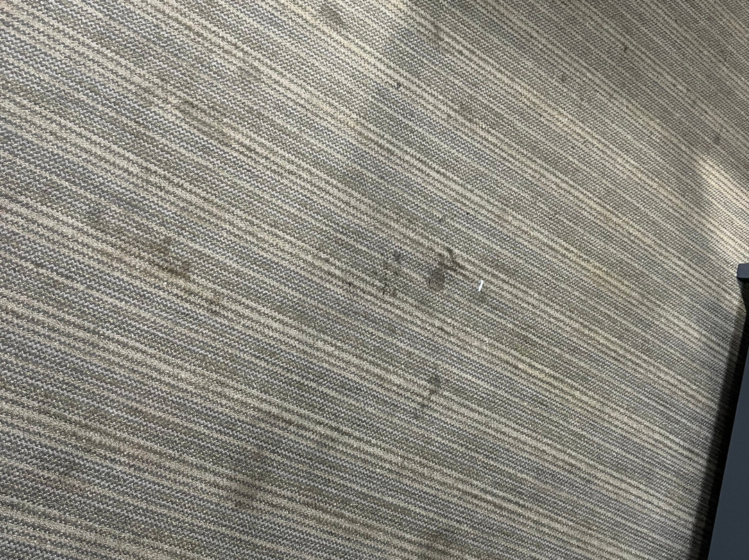 Country Inn & Suites by Radisson, Brooklyn Center, MN主图