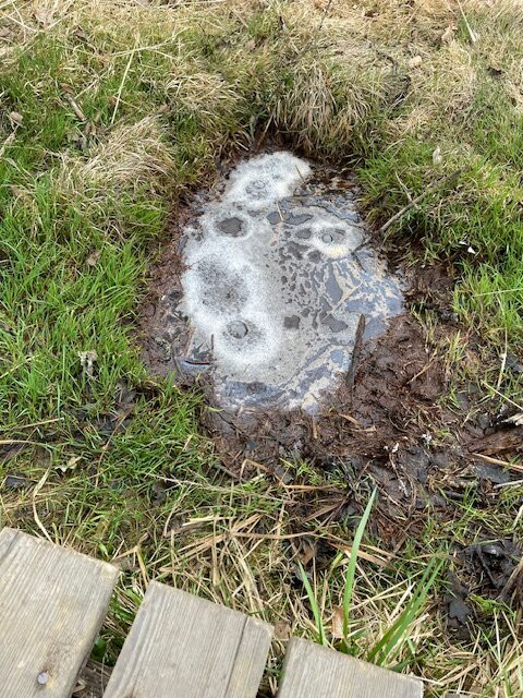 SOOS National Nature Reserve-弗提科维泉市必去景点