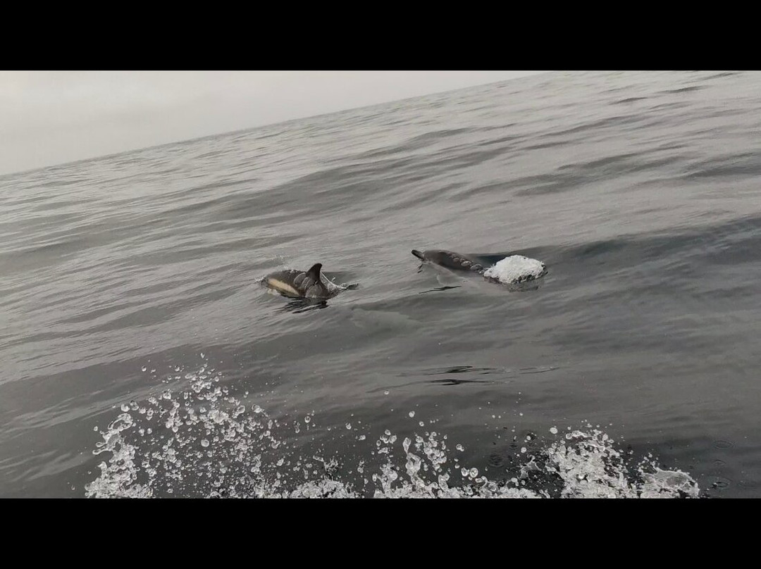 Nazaré On_da Wave-纳扎雷必去景点