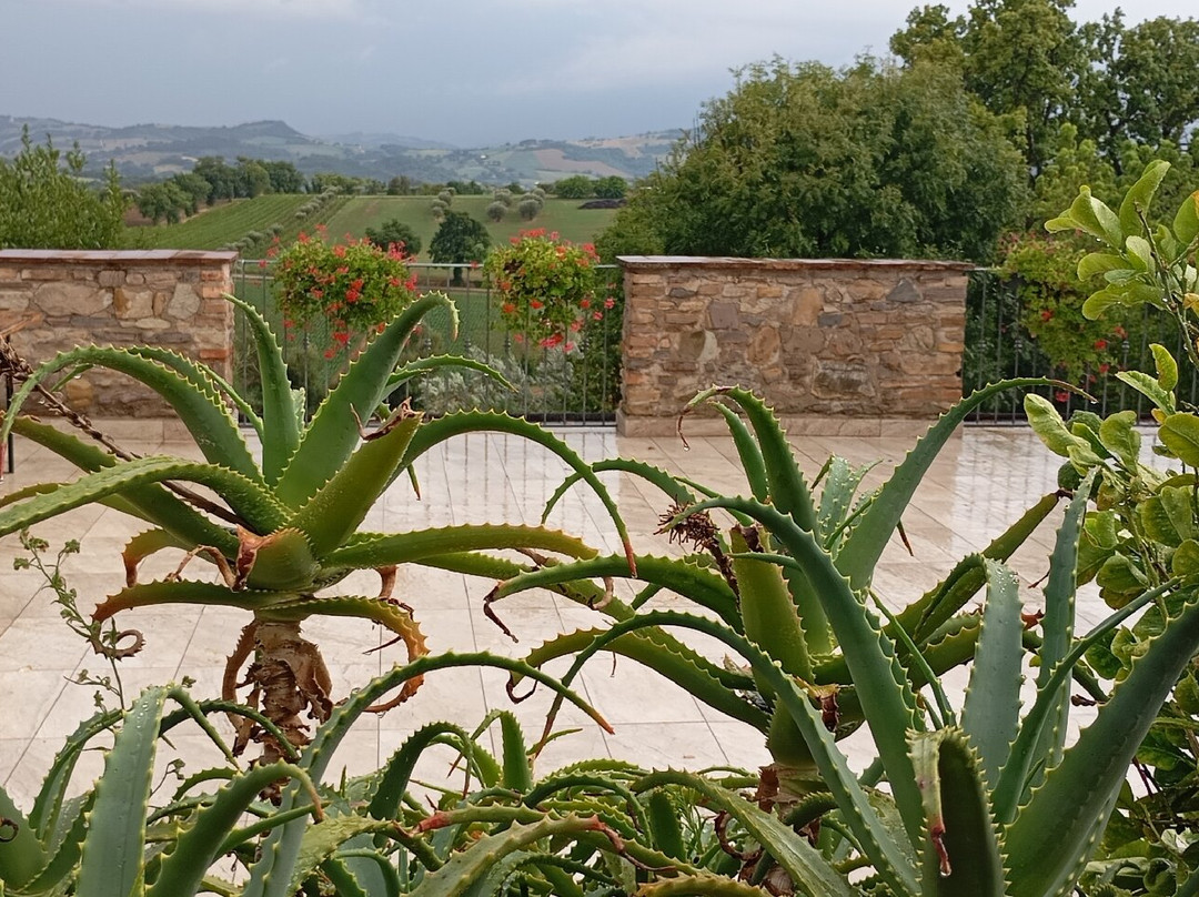 Casale il Cerqueto主图