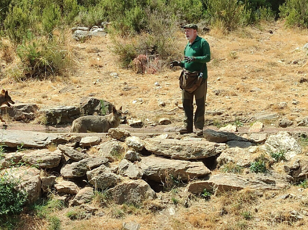 Centro del Lobo Iberico-Puebla de Sanabria必去景点