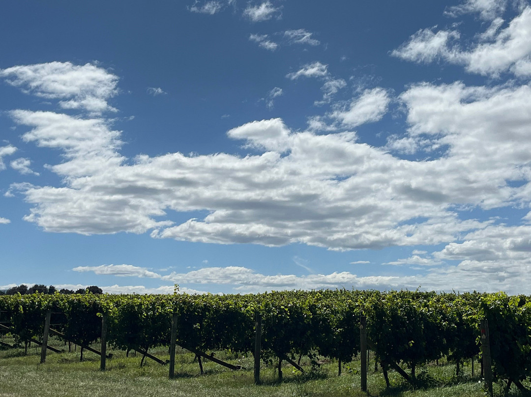 Spring Vale Wines-Cranbrook必去景点