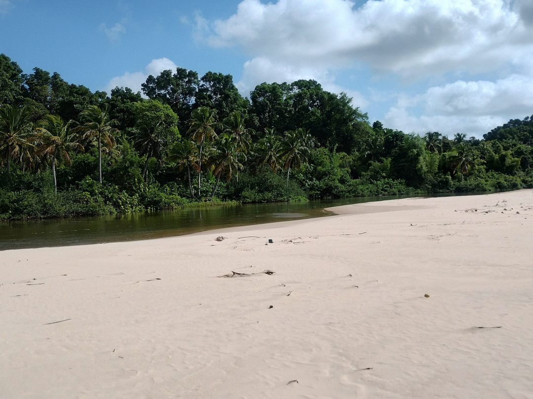 Sao Jeronimo Farm-Soure必去景点