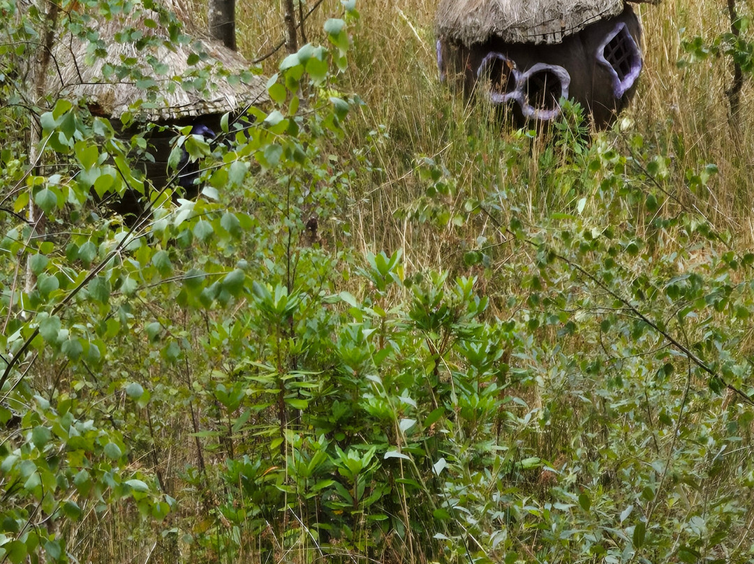 BeWILDerwood Cheshire-Whitchurch必去景点