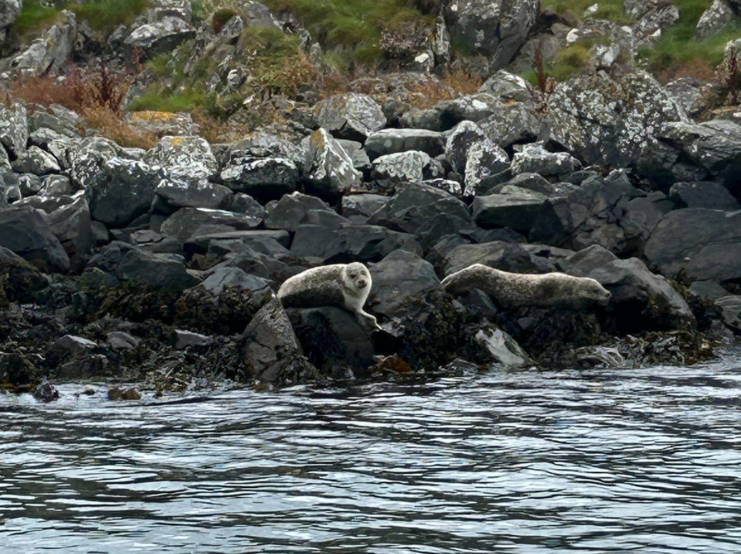 Islay Sea Adventures-Port Ellen必去景点