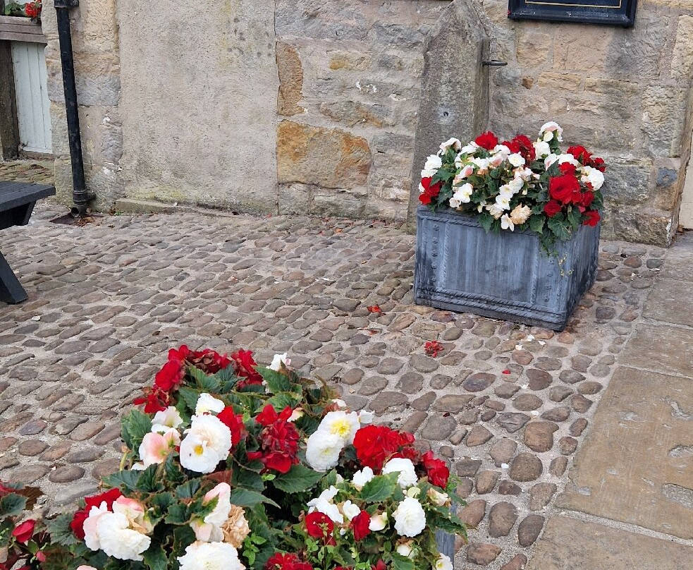 The Fleece Inn主图