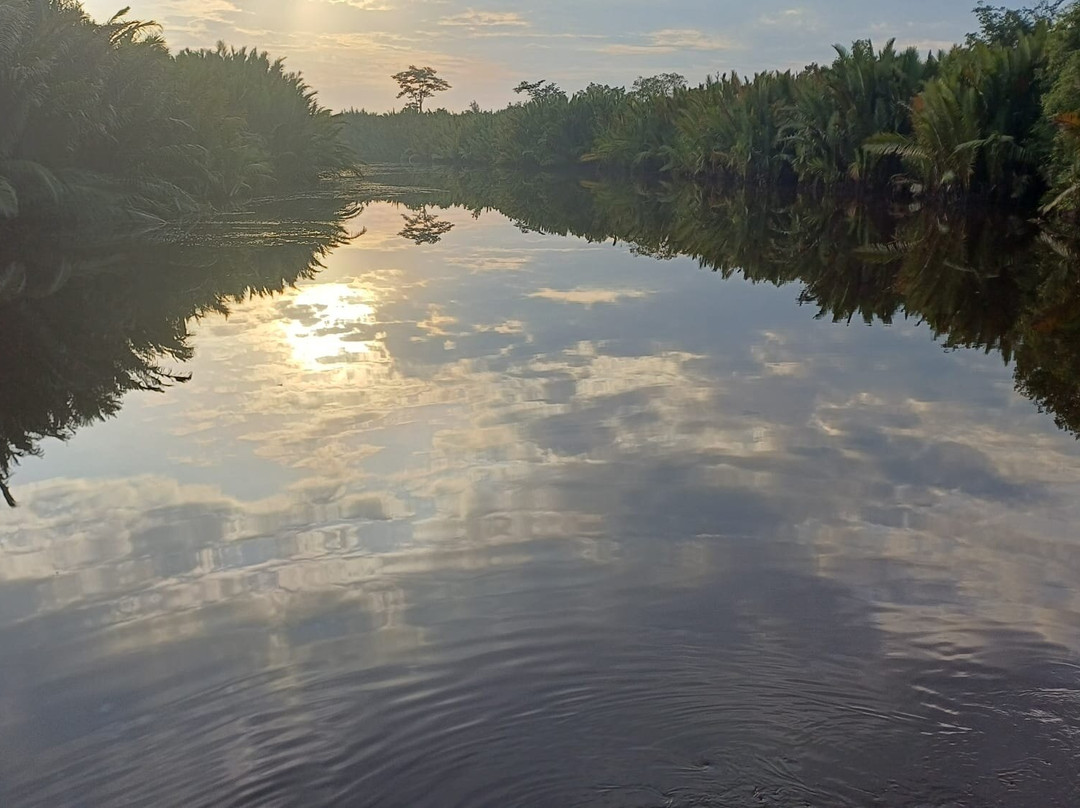 Borneo Eco Tour-Pangkalan Bun必去景点