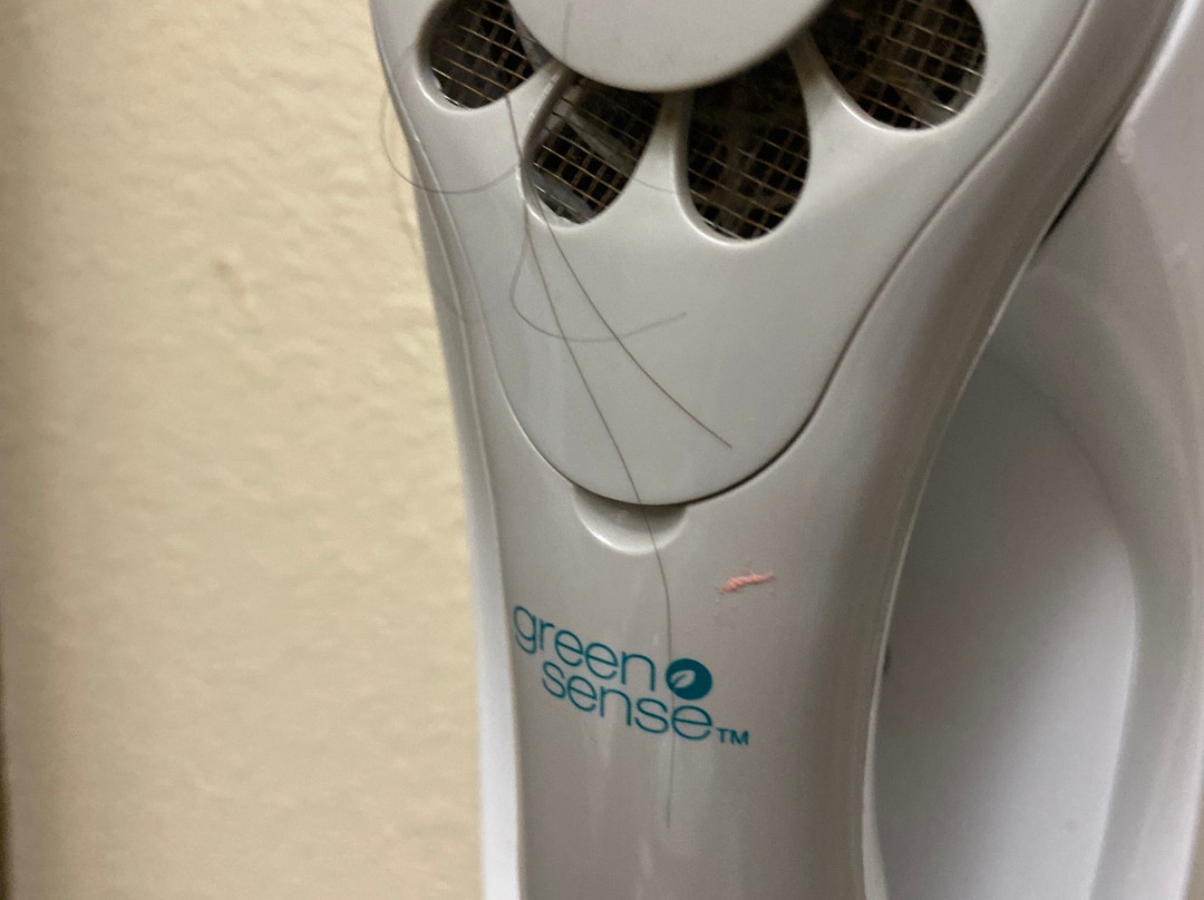 Comfort Suites Johnson City主图