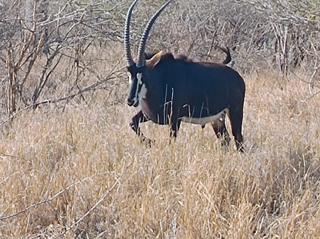 Dél-afrika-mozambik-尼斯普鲁特必去景点