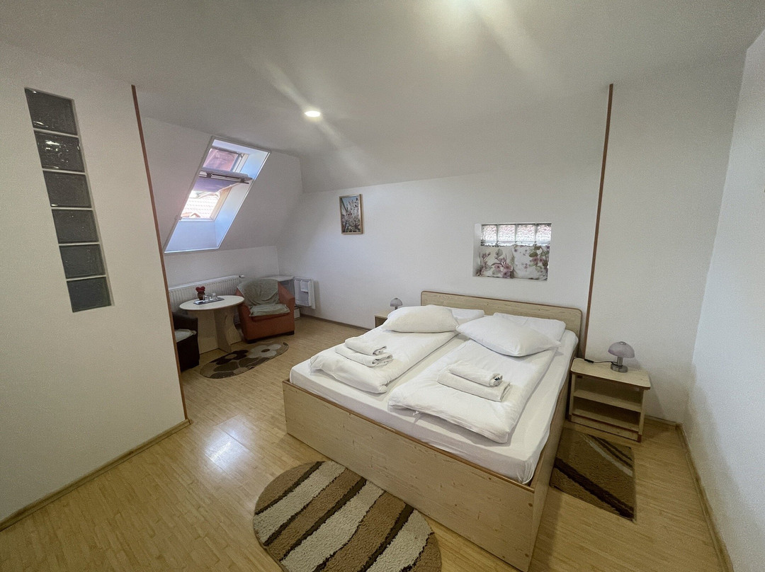 Restaurant-Pensiunea Joker主图