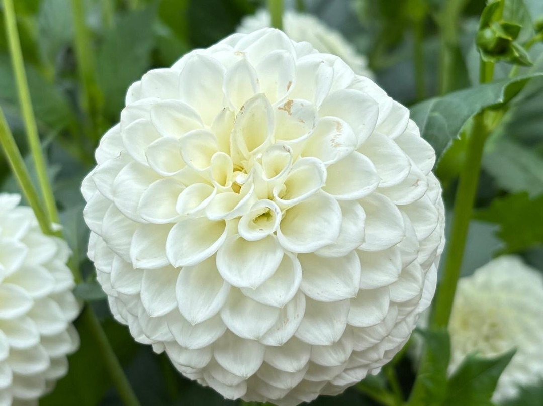 安格尔西修道院-Lode必去景点