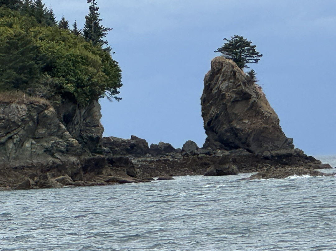 Rainbow Tours-荷马必去景点