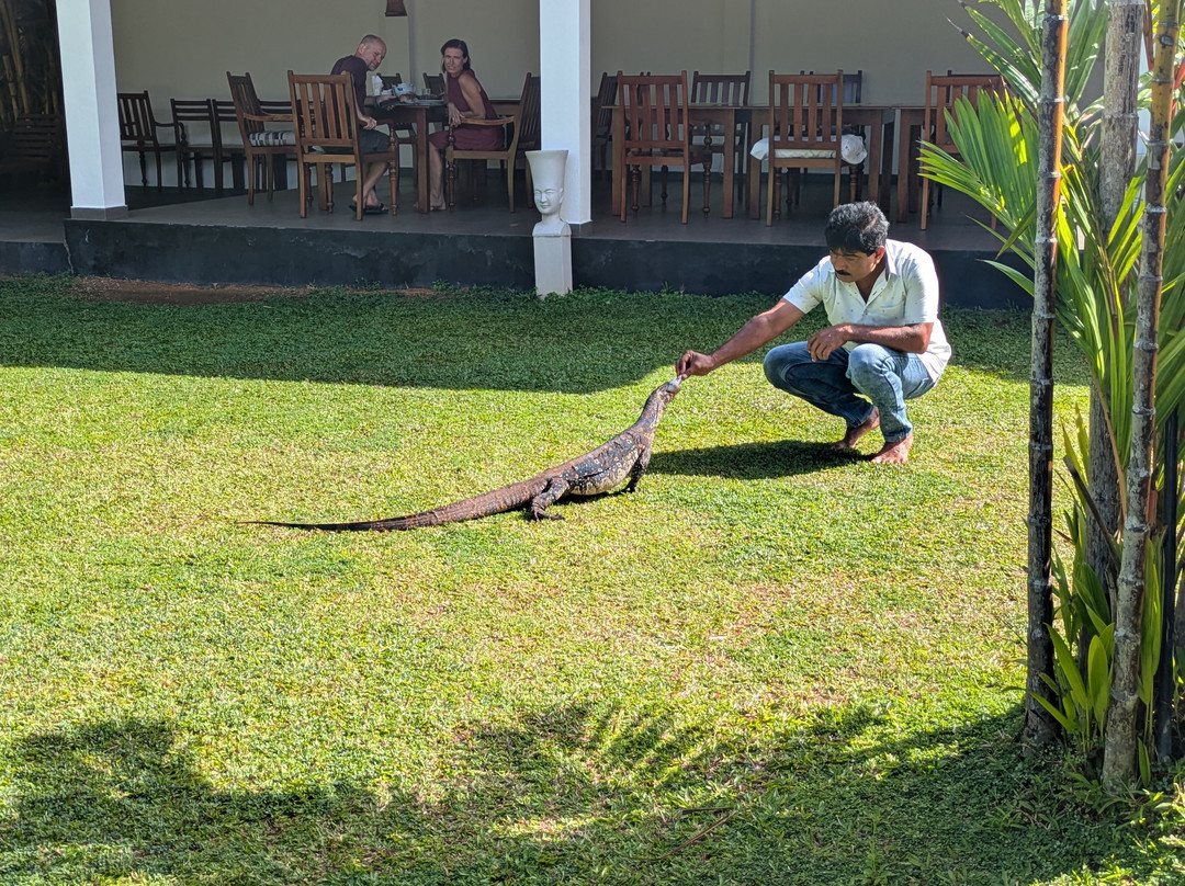 Luba Tours-Aluthgama必去景点