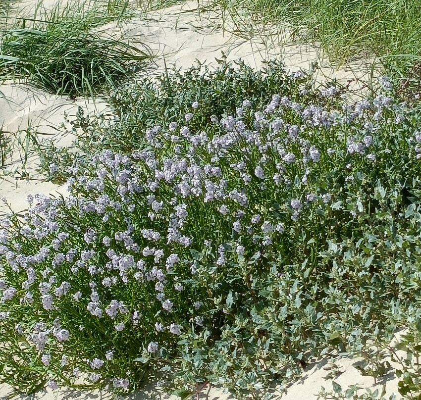 Bunbeg Wreck - Bád Eddie (eddie's Boat)-Gweedore必去景点