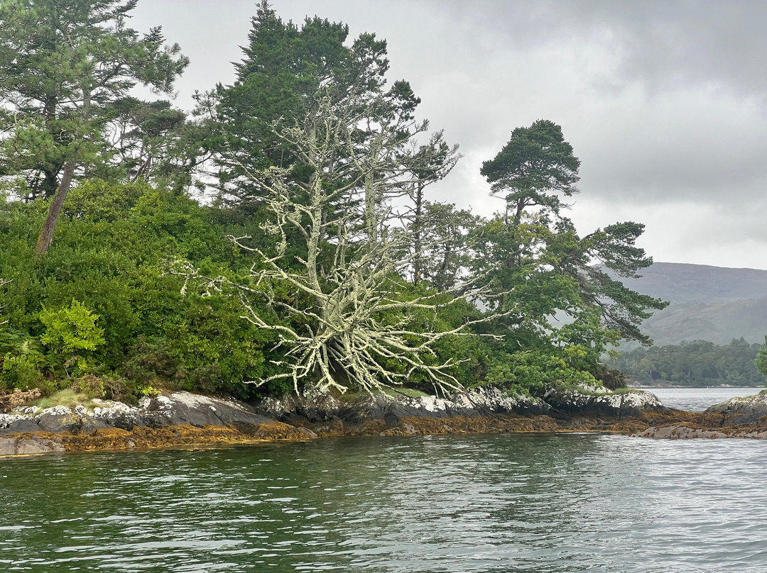 Bantry Bay Charters-Glengarriff必去景点