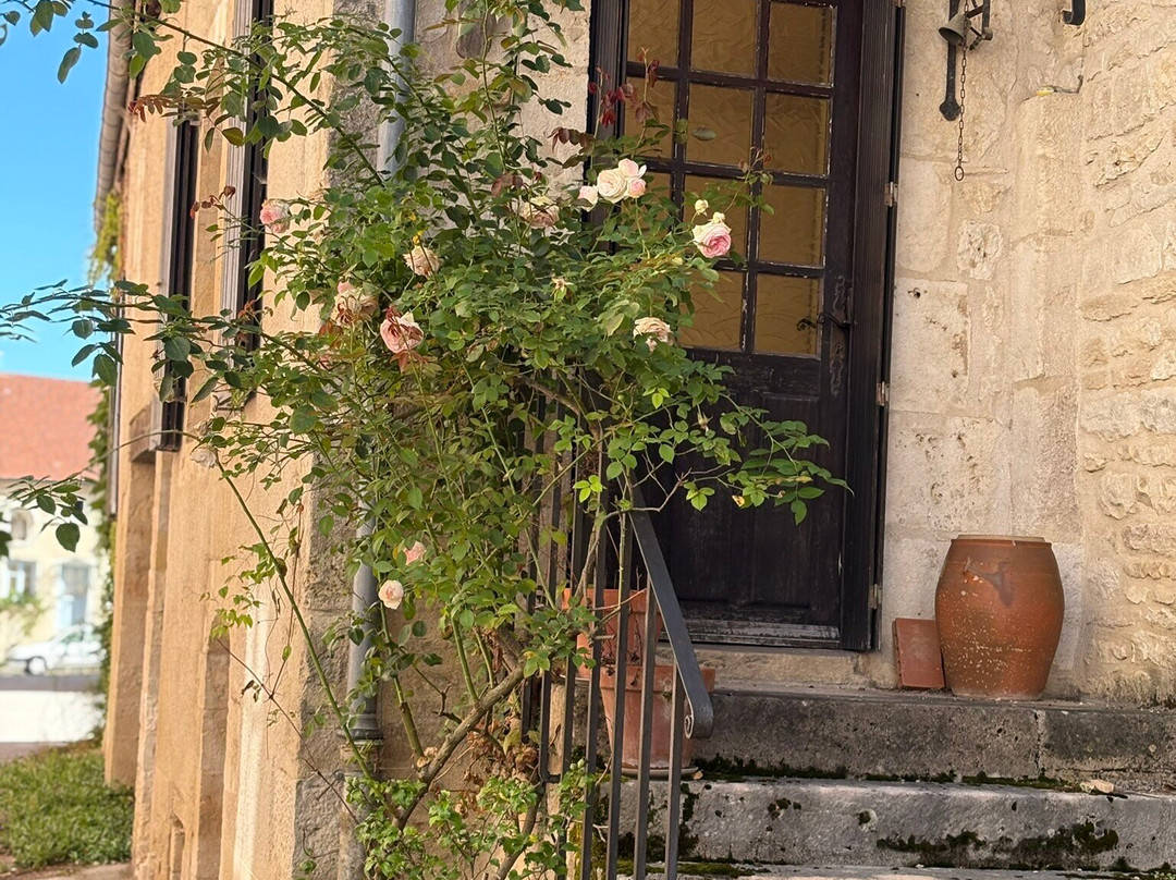 Anis De Flavigny-Flavigny-sur-Ozerain必去景点