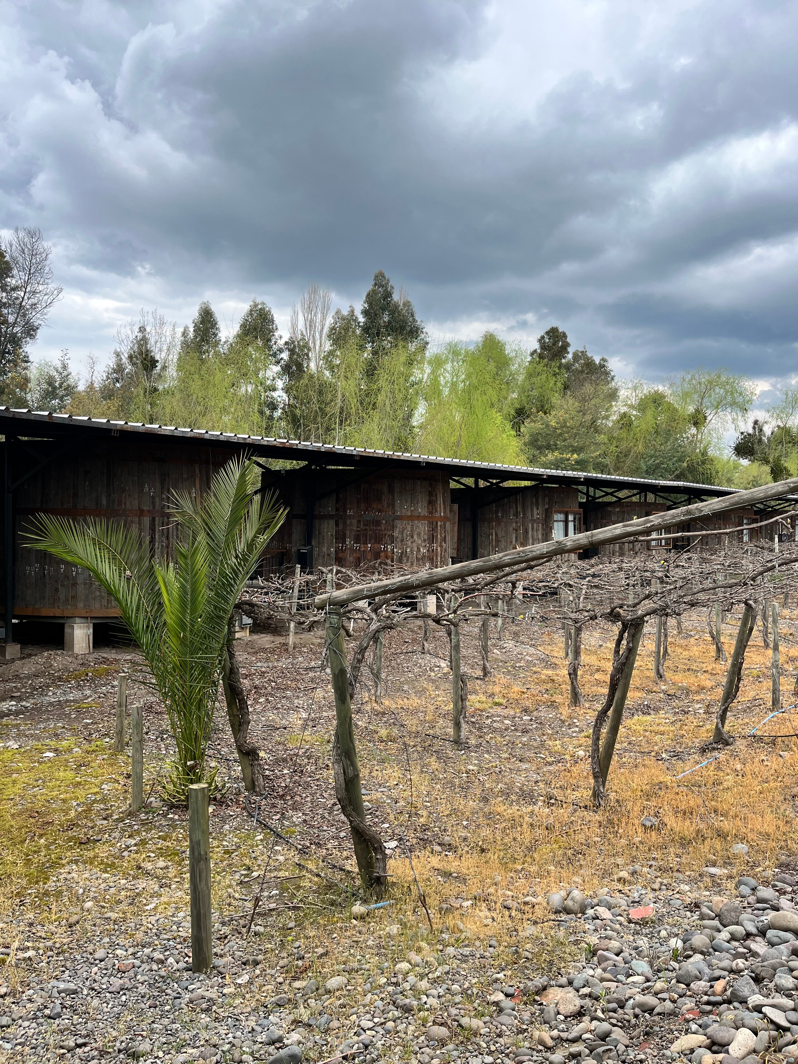 Hotel Cava Colchagua-官方