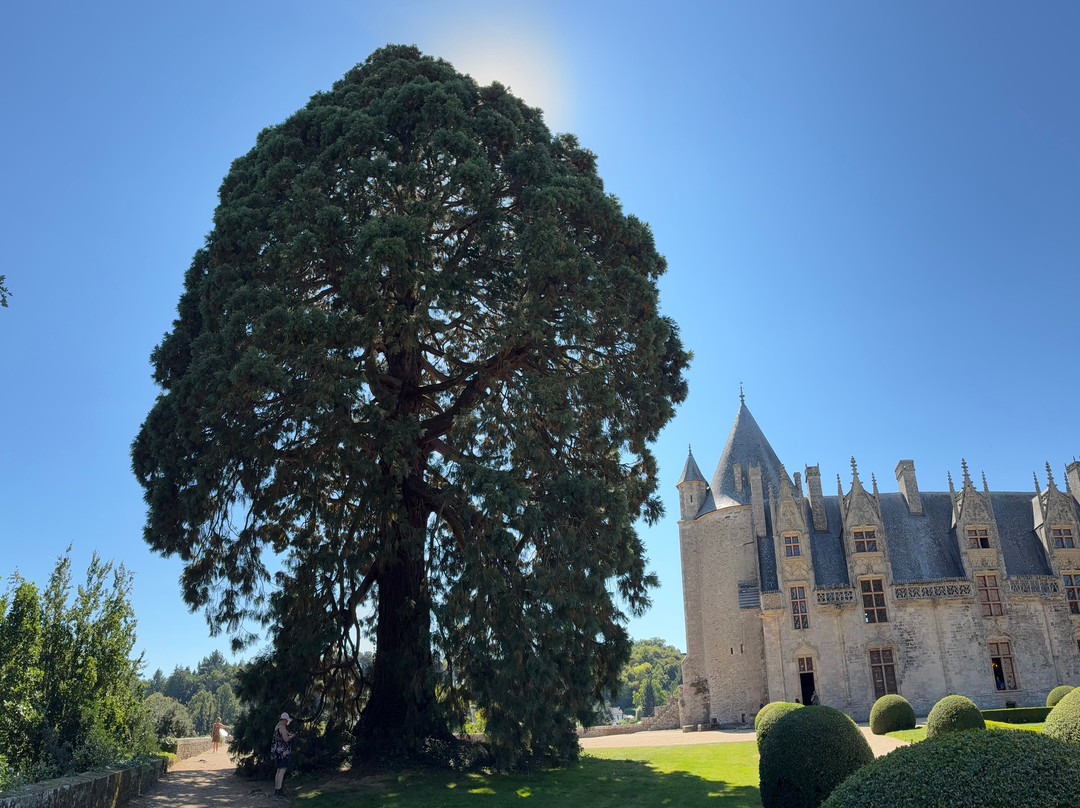Château de Josselin-Josselin必去景点